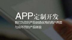 APP定制開發(fā)