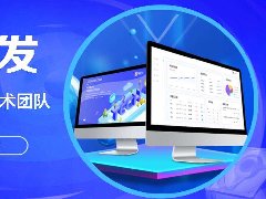 模板和定制商城APP開發(fā)費(fèi)用需要多少錢？